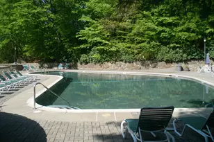 50 Aiken St, Norwalk, CT 06851 - Photo 19