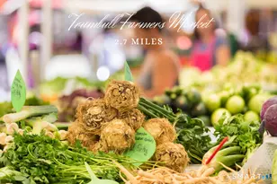 88 Chestnut Hill Rd, Trumbull, CT 06611 - Photo 27