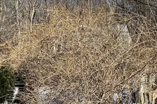 1 Parsons Dr, Waterbury, CT 06708 - Photo 1