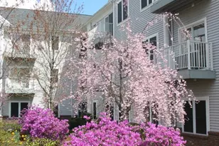 100C Danbury Rd, Ridgefield, CT 06877 - Photo 1