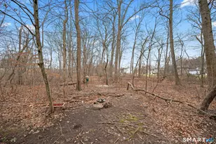 92 Cynthia Ln, Middletown, CT 06457 - Photo 37