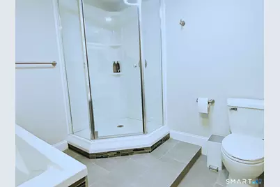 155 Mountain Laurel Way #155, Suffield, CT 06078 - Photo 31