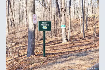 117 Crest Road, Middlebury, CT 06762 - Photo 35