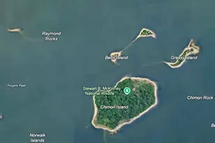 Betts Island, Norwalk, CT 06854 - Photo 7