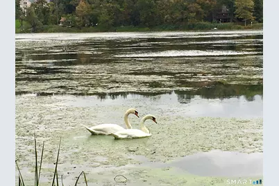 20 Rita Road, Ridgefield, CT 06877 - Photo 31