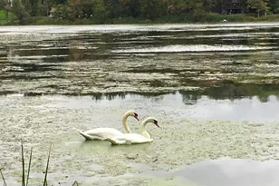 20 Rita Rd, Ridgefield, CT 06877 - Photo 31