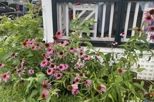 11 Tuxis Rd, Madison, CT 06443 - Photo 35