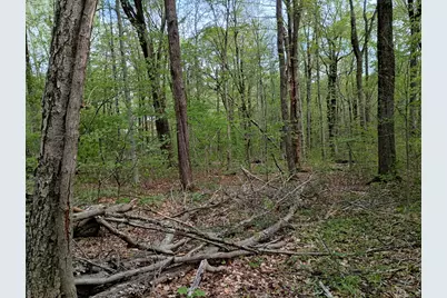 Litchfield Road, Watertown, CT 06795 - Photo 13