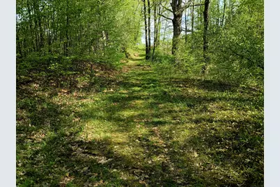 Litchfield Road, Watertown, CT 06795 - Photo 5