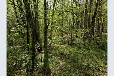 Litchfield Road, Watertown, CT 06795 - Photo 3