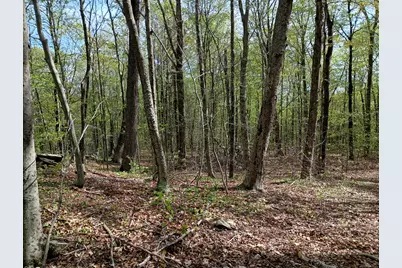 Litchfield Road, Watertown, CT 06795 - Photo 19