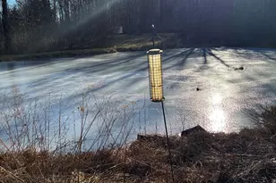 52 Alger Rd, East Haddam, CT 06423 - Photo 29