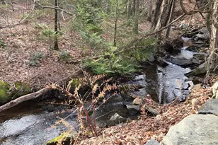 26 Ferry Rd, Chester, CT 06412 - Photo 21