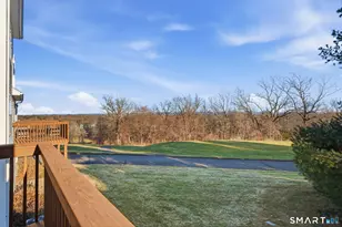 1103 Gray Fox Ln, Rocky Hill, CT 06067 - Photo 33