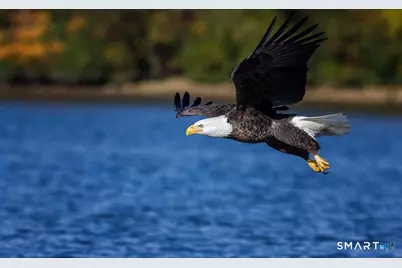 112 West Lake Road #D4, Woodbury, CT 06798 - Photo 5