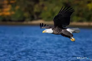 112 W Lake Rd, Woodbury, CT 06798 - Photo 5