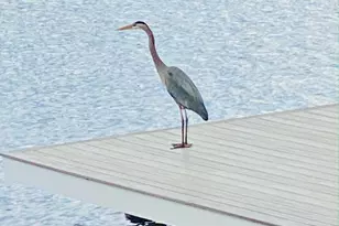 112 W Lake Rd, Woodbury, CT 06798 - Photo 9