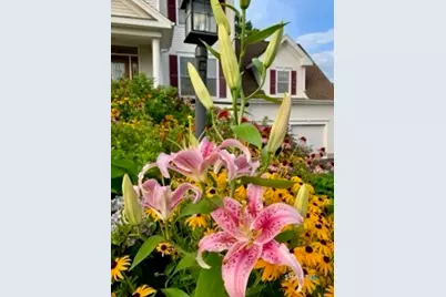 12 Red Oak Lane, Seymour, CT 06483 - Photo 37