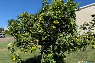 12 Red Oak Ln, Seymour, CT 06483 - Photo 35