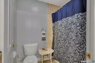 102 Rice Lane Extension, Beacon Falls, CT 06403 - Photo 19