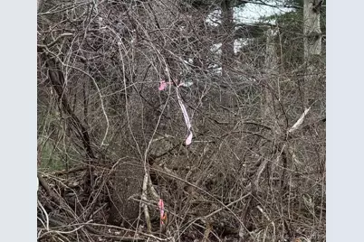 115 McBride Road, Litchfield, CT 06759 - Photo 13