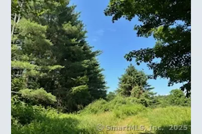 115 McBride Road, Litchfield, CT 06759 - Photo 25