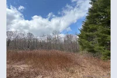 115 McBride Road, Litchfield, CT 06759 - Photo 7