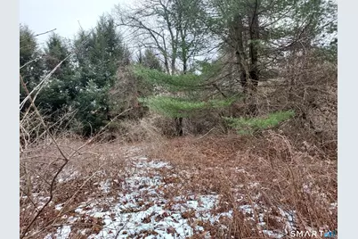 8 Times Farm Road, Andover, CT 06232 - Photo 3