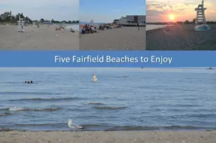 65 Thorpe St, Fairfield, CT 06824 - Photo 37