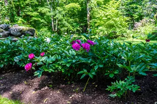 130 Sharon Mountain Rd, Sharon, CT 06069 - Photo 37