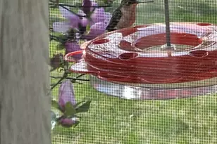 455 Chesterfield Rd, Montville, CT 06370 - Photo 29