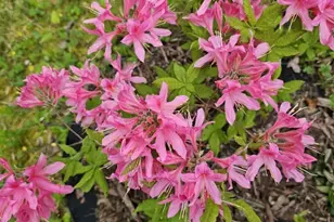 455 Chesterfield Rd, Montville, CT 06370 - Photo 37