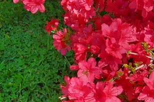 455 Chesterfield Rd, Montville, CT 06370 - Photo 25