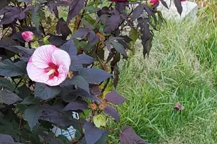 455 Chesterfield Rd, Montville, CT 06370 - Photo 37