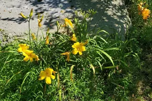 455 Chesterfield Rd, Montville, CT 06370 - Photo 39