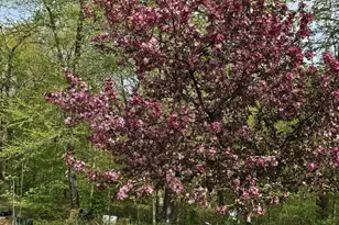 455 Chesterfield Rd, Montville, CT 06370 - Photo 39