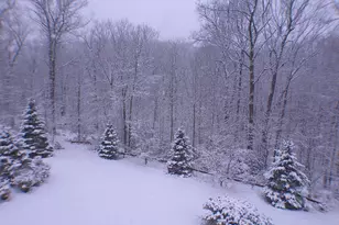 89 Mariondale Dr, Southington, CT 06479 - Photo 39