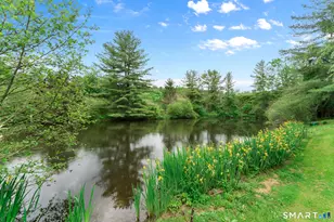 9 Jewell St, Cornwall, CT 06753 - Photo 27