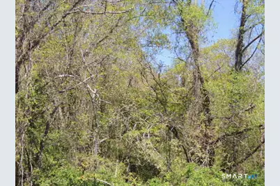 47,47R,63,65R Coleman Street, West Haven, CT 06516 - Photo 1