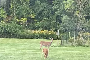 1769 Goshen Rd, Torrington, CT 06790 - Photo 37