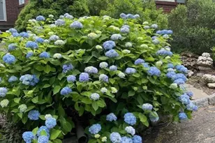 1769 Goshen Rd, Torrington, CT 06790 - Photo 5