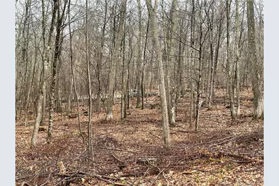 Westwoods Road # 2, Sharon, CT 06069 - Photo 3