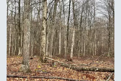 Westwoods Road # 2, Sharon, CT 06069 - Photo 5