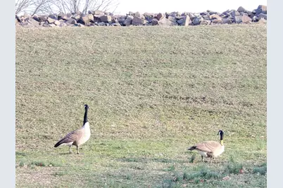 1093 Shippan Avenue, Stamford, CT 06902 - Photo 35