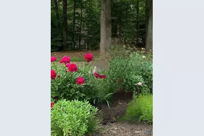 14 Meadow Crest Drive, Woodbury, CT 06798 - Photo 37