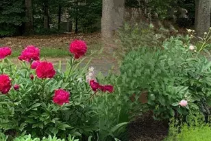 14 Meadow Crest Dr, Woodbury, CT 06798 - Photo 37