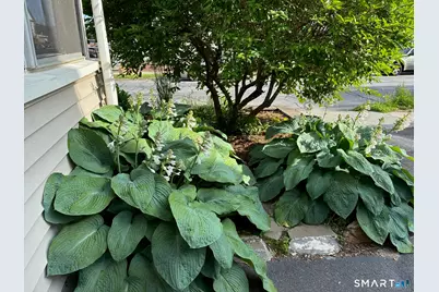 287 Hansen Avenue, Bridgeport, CT 06605 - Photo 5