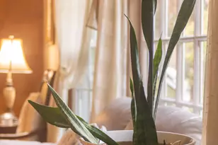 224 Ray Rd, New Haven, CT 06515 - Photo 5