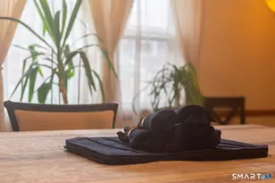 224 Ray Rd, New Haven, CT 06515 - Photo 13