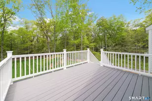234 Great Plain Rd, Danbury, CT 06811 - Photo 29